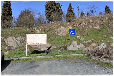 26.02.2021 Vogel-Naturschutzgebiet Poda