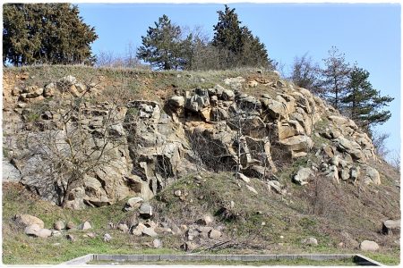 26.02.2021 Vogel-Naturschutzgebiet Poda