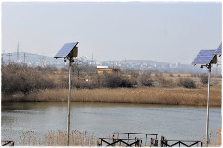 26.02.2021 Vogel-Naturschutzgebiet Poda