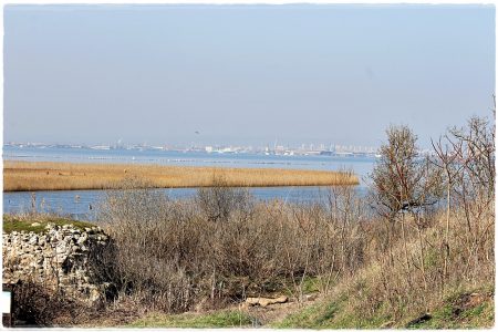26.02.2021 Vogel-Naturschutzgebiet Poda