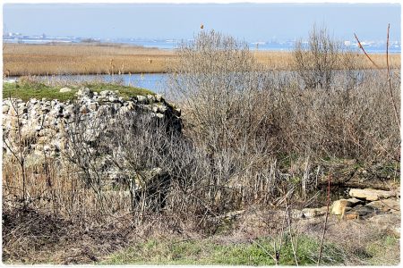 26.02.2021 Vogel-Naturschutzgebiet Poda