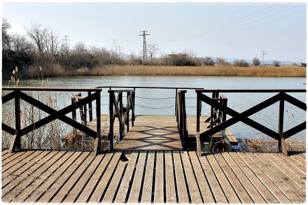 26.02.2021 Vogel-Naturschutzgebiet Poda