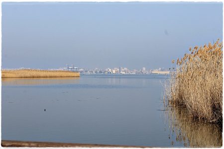 26.02.2021 Vogel-Naturschutzgebiet Poda