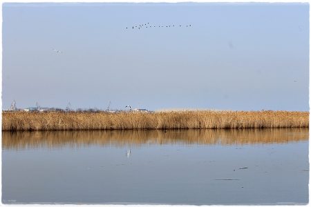 26.02.2021 Vogel-Naturschutzgebiet Poda