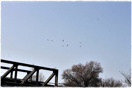 26.02.2021 Vogel-Naturschutzgebiet Poda