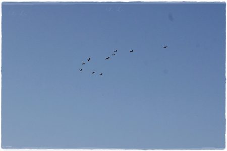 26.02.2021 Vogel-Naturschutzgebiet Poda