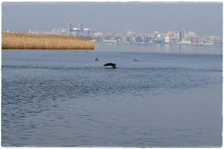 26.02.2021 Vogel-Naturschutzgebiet Poda