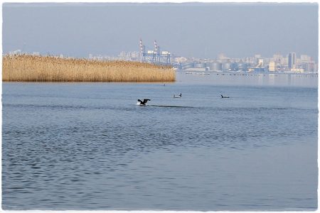 26.02.2021 Vogel-Naturschutzgebiet Poda