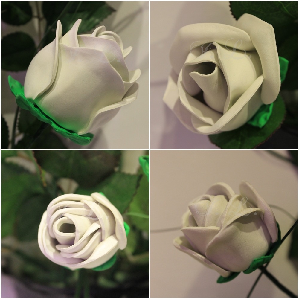 Weiße Rosen (2016) (EVA/Thikas)