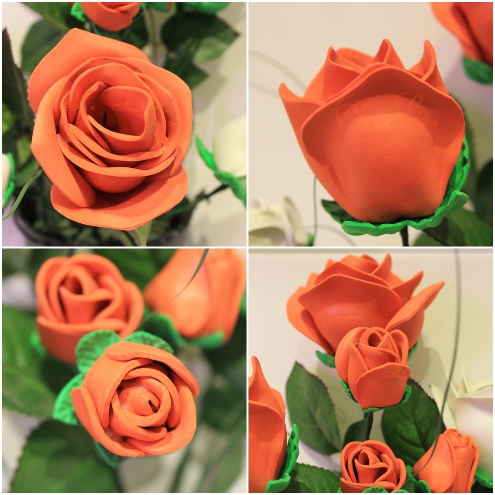 Rote Rosen (2016) (EVA/Thikas)