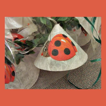 Crea Pop Lichterkette mit Marienkäfer