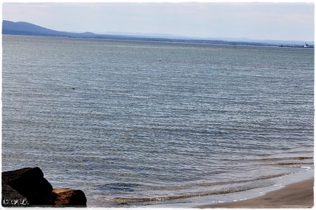 16.04.2021 Burgas- Solnici Strand