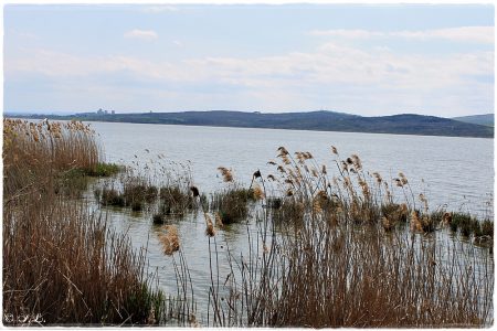 16.04.2021 Burgas See