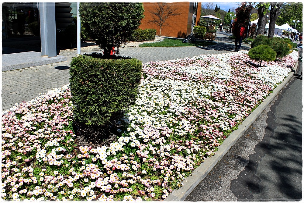 22.04.2021 Burgas Seegarten