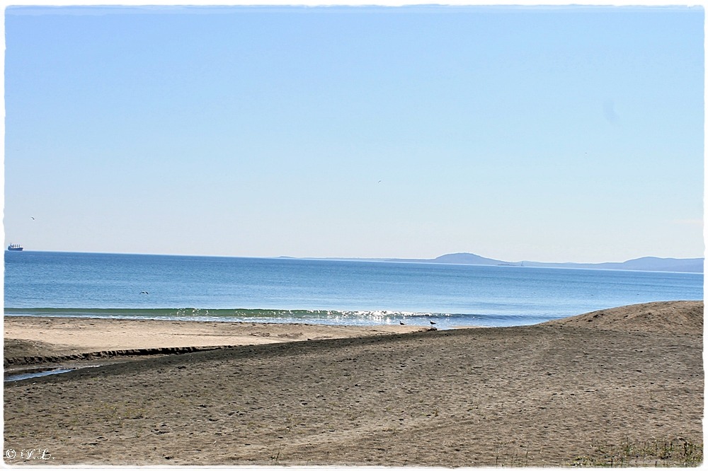 22.04.2021 Burgas Seegarten