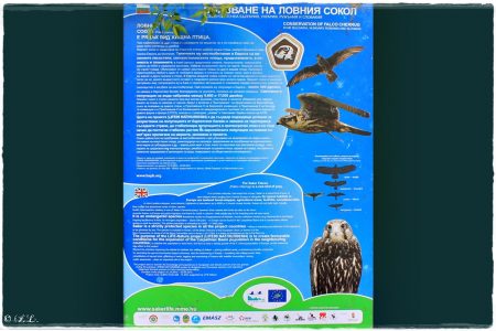 06.05.2021 Poda (Vogel & Naturschutzgebiet)