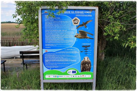 06.05.2021 Poda (Vogel & Naturschutzgebiet)