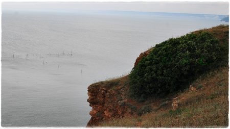 Kap Kaliakra