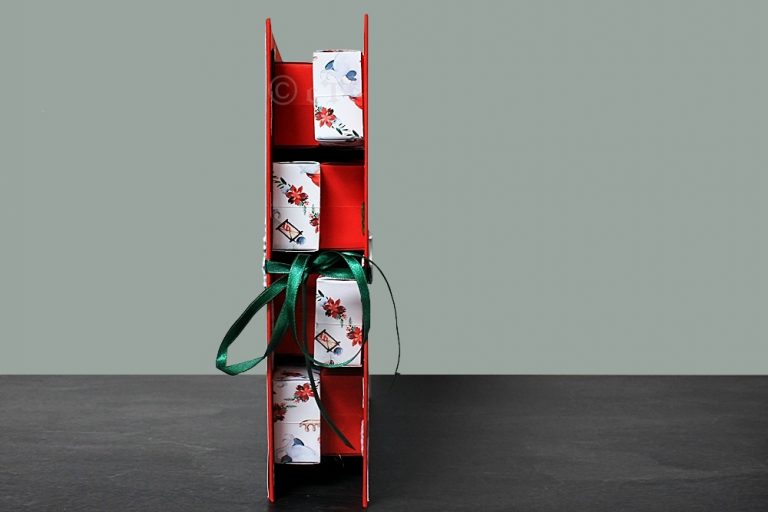 cTc Adventskalenderbuch "2 Gnomes"
