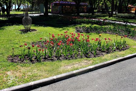 71 30.04.2025 Flora