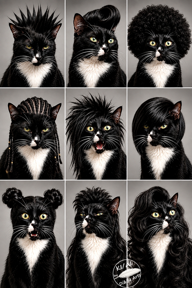 Neun Frisuren für die Katz