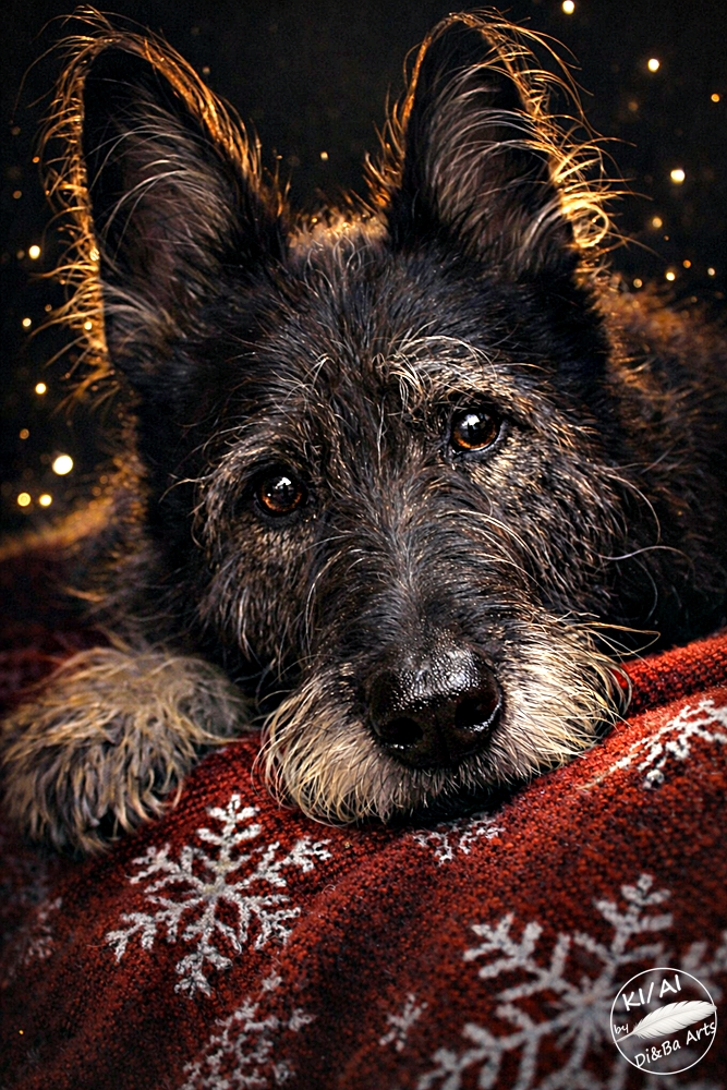Kuschelzeit im Winter