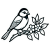 T Vögel
